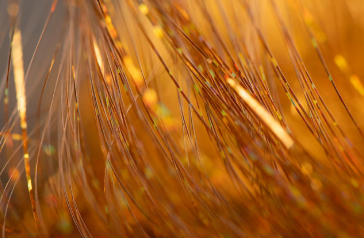 14k Gold - Fairy Hair Tinsel